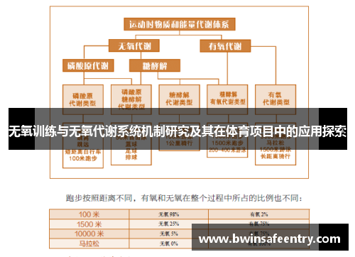 无氧训练与无氧代谢系统机制研究及其在体育项目中的应用探索