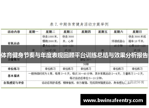 体育健身节奏与年度表现回顾平台训练总结与效果分析报告