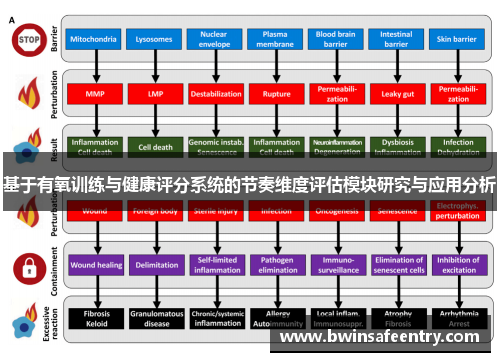 基于有氧训练与健康评分系统的节奏维度评估模块研究与应用分析