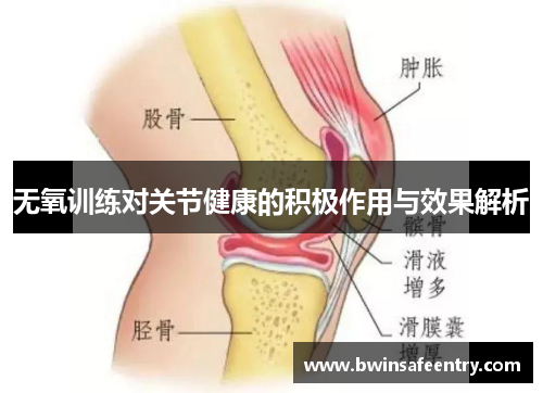 无氧训练对关节健康的积极作用与效果解析
